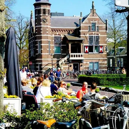 Natuurhuisje Bedstee Chalet Oisterwijk