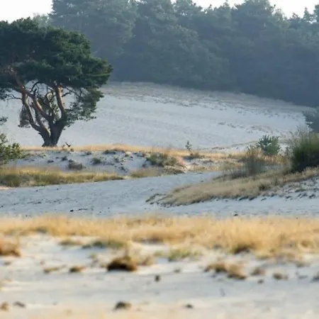 Natuurhuisje Bedstee Oisterwijk