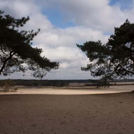 Natuurhuisje Bedstee