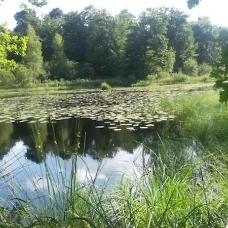 Chalet Natuurhuisje Bedstee Oisterwijk
