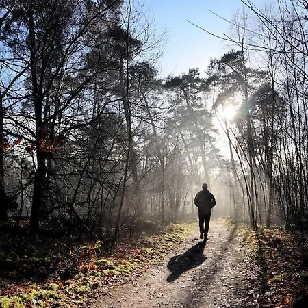 Natuurhuisje Bedstee *